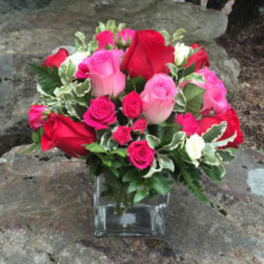 Desktop Gallery Entry 16