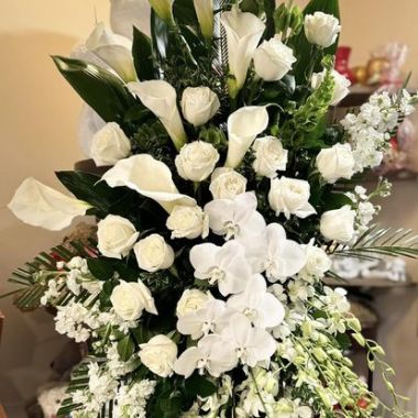 Desktop Gallery Entry 11