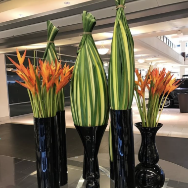 Desktop Gallery Entry 2