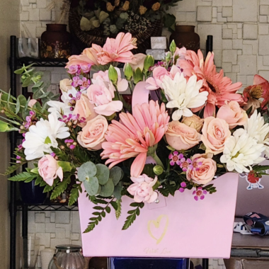 Desktop Gallery Entry 14