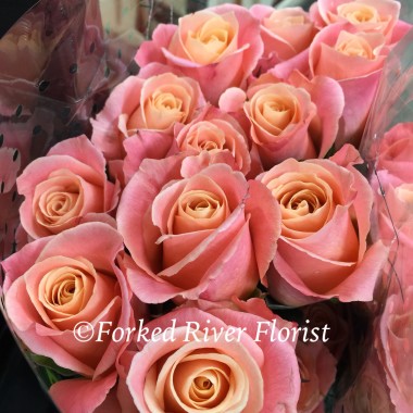 Desktop Gallery Entry 12