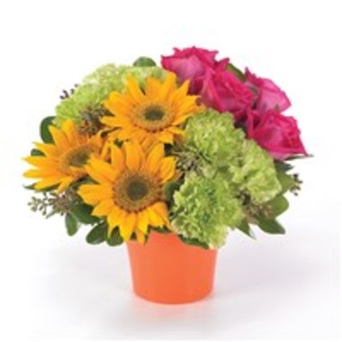 Desktop Gallery Entry 11