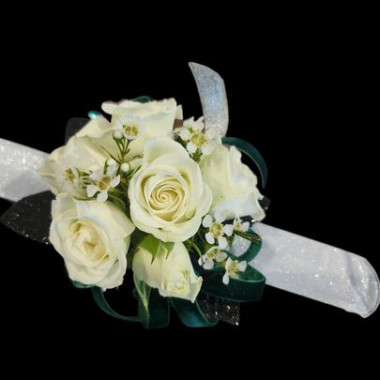 Desktop Gallery Entry 10