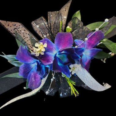 Desktop Gallery Entry 8