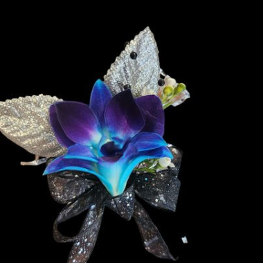 Desktop Gallery Entry 5