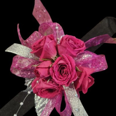 Desktop Gallery Entry 4