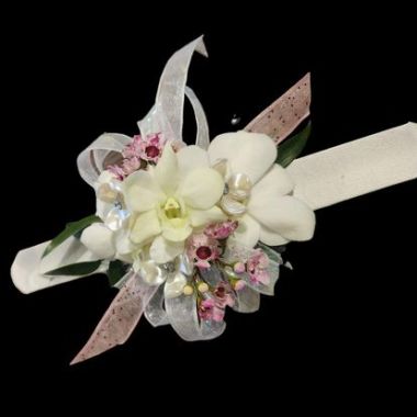 Desktop Gallery Entry 3