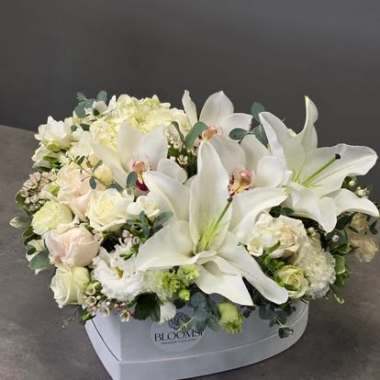 Desktop Gallery Entry 14