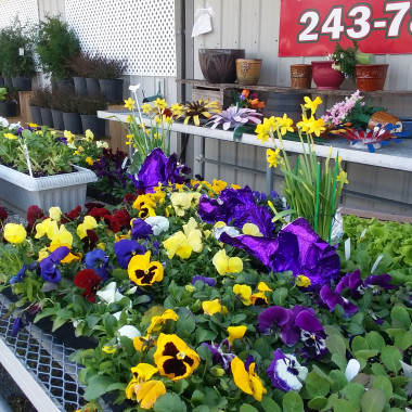 Desktop Gallery Entry 16