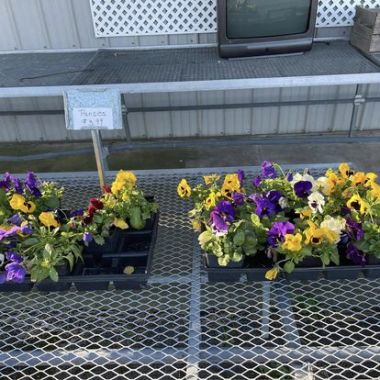 Desktop Gallery Entry 9