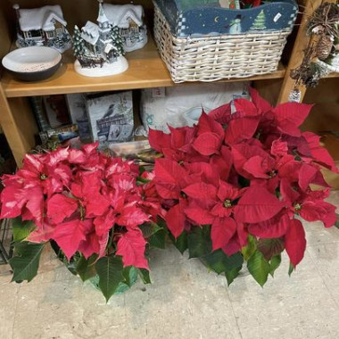 Desktop Gallery Entry 8