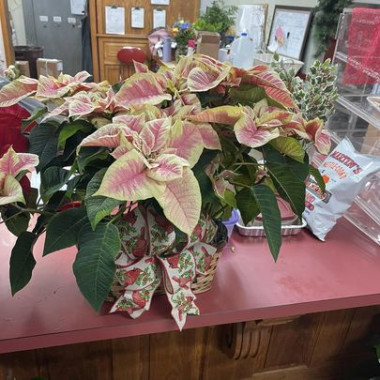 Desktop Gallery Entry 7