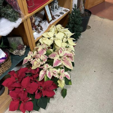 Desktop Gallery Entry 3