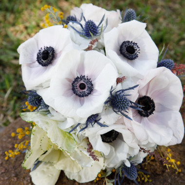 Desktop Gallery Entry 15