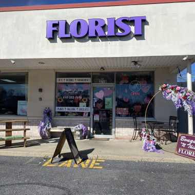 Desktop Gallery Entry 19