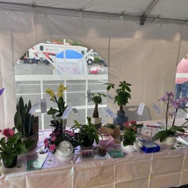 Desktop Gallery Entry 3