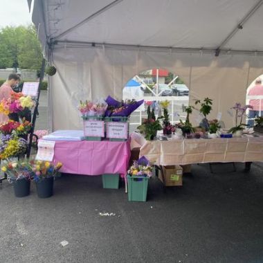 Desktop Gallery Entry 1