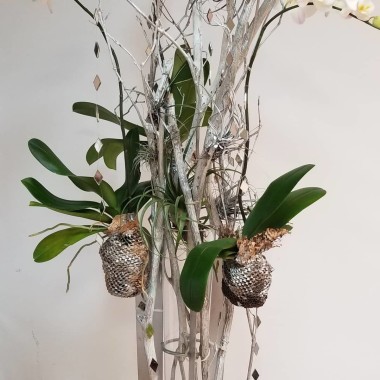 Desktop Gallery Entry 13