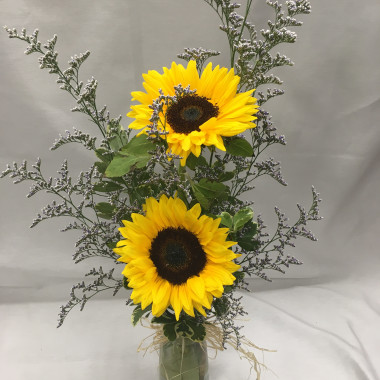 Desktop Gallery Entry 2