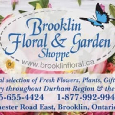 Desktop Gallery Entry 8