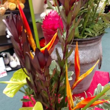 Desktop Gallery Entry 4