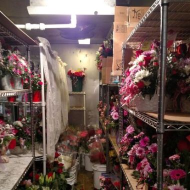 Desktop Gallery Entry 6