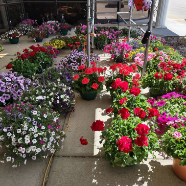 Desktop Gallery Entry 5