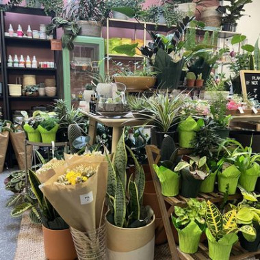 Desktop Gallery Entry 13