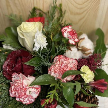 Desktop Gallery Entry 5