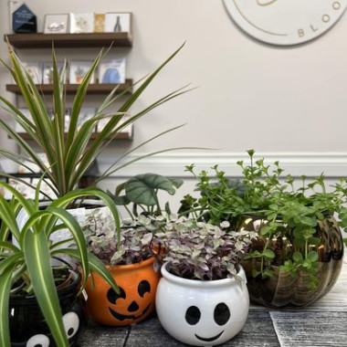 Desktop Gallery Entry 0