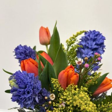 Desktop Gallery Entry 15