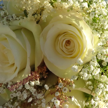 Desktop Gallery Entry 16