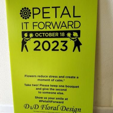 Desktop Gallery Entry 15