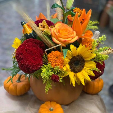 Desktop Gallery Entry 7