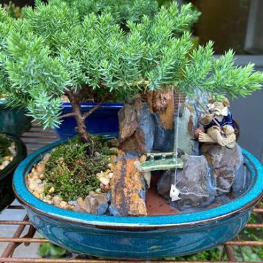 Desktop Gallery Entry 0