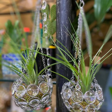 Desktop Gallery Entry 19