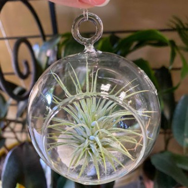 Desktop Gallery Entry 18