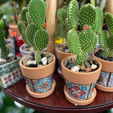 Desktop Gallery Entry 16