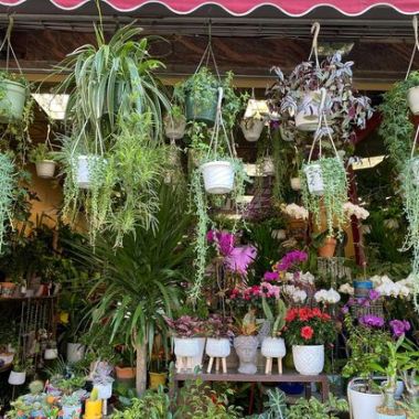 Desktop Gallery Entry 15