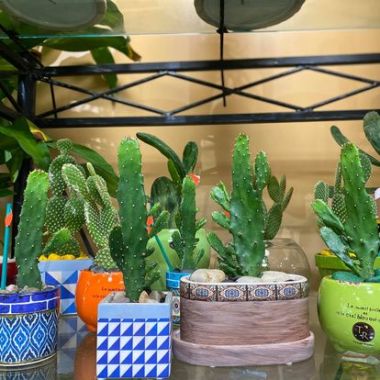 Desktop Gallery Entry 12