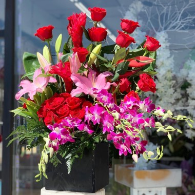 Desktop Gallery Entry 6