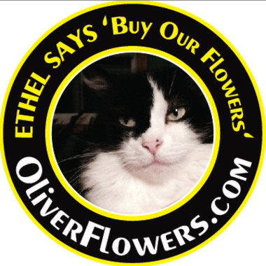 Desktop Gallery Entry 3