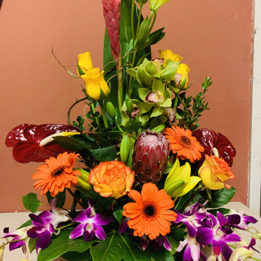 Desktop Gallery Entry 13