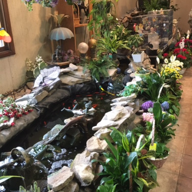 Desktop Gallery Entry 9