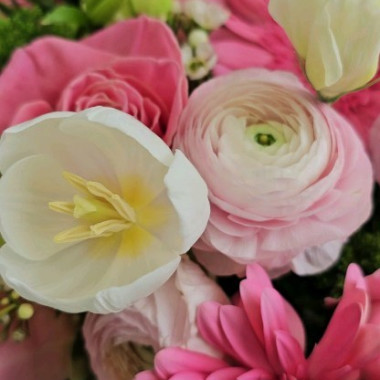 Desktop Gallery Entry 10