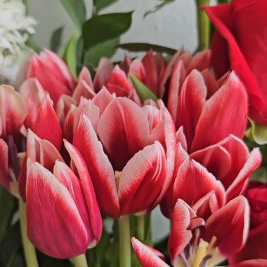 Desktop Gallery Entry 9