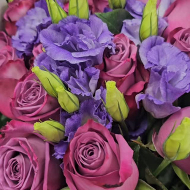 Desktop Gallery Entry 8