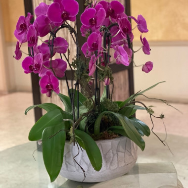 Desktop Gallery Entry 4