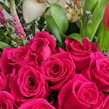 Desktop Gallery Entry 19