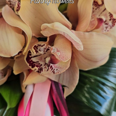 Desktop Gallery Entry 18